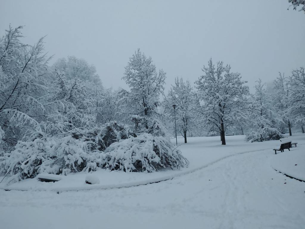 Nevicata 28 dicembre Legnano e Alto Milanese