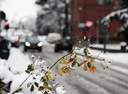 Nevicata 28 dicembre Legnano e Alto Milanese
