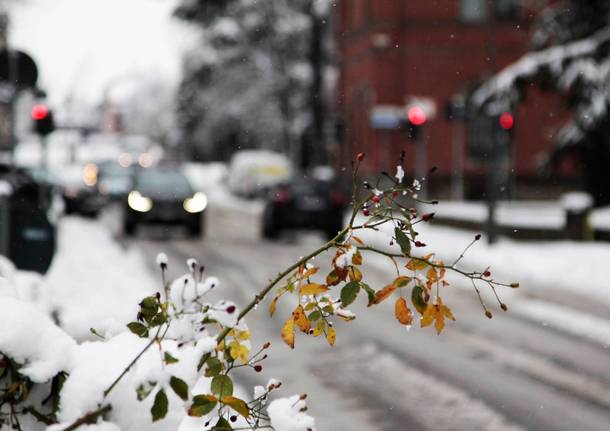 Nevicata 28 dicembre Legnano e Alto Milanese