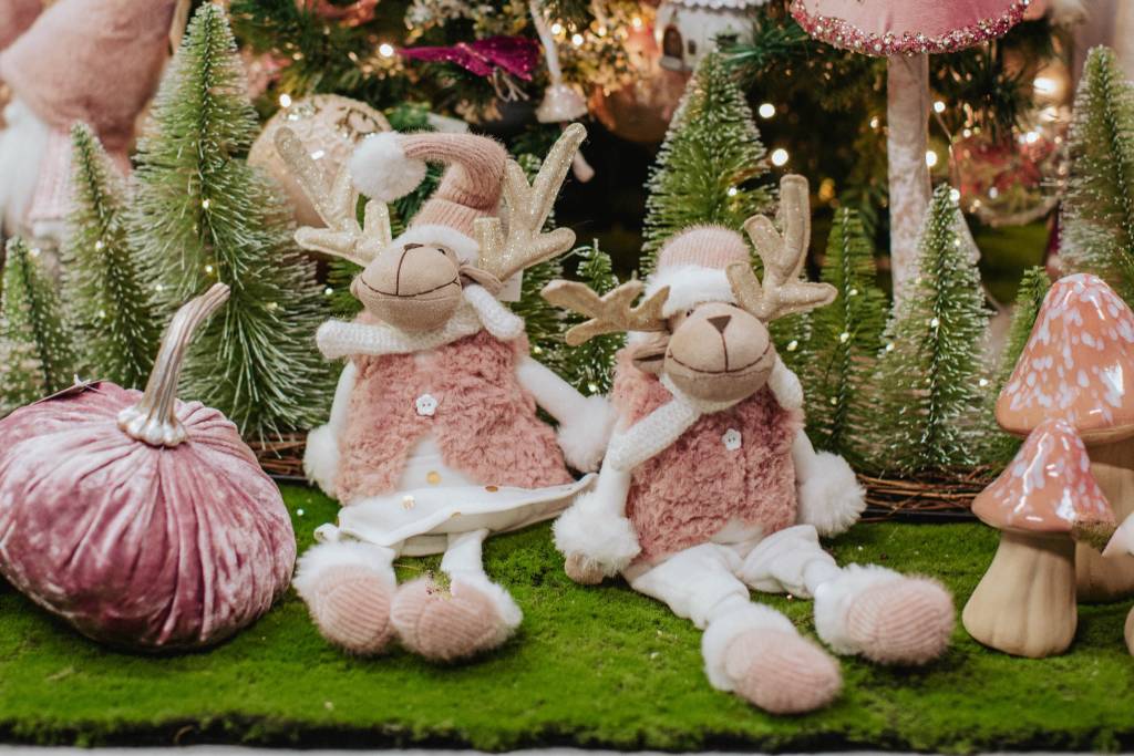 Nicora Garden: Il Paese di Natale a portata di un “click”