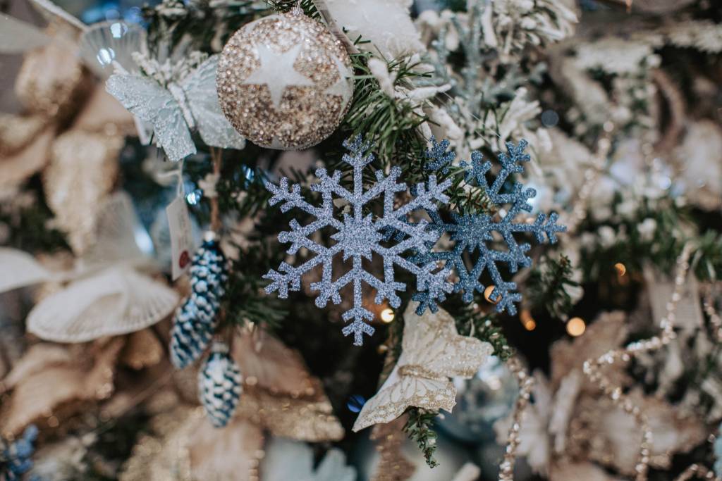Nicora Garden: Il Paese di Natale a portata di un “click”