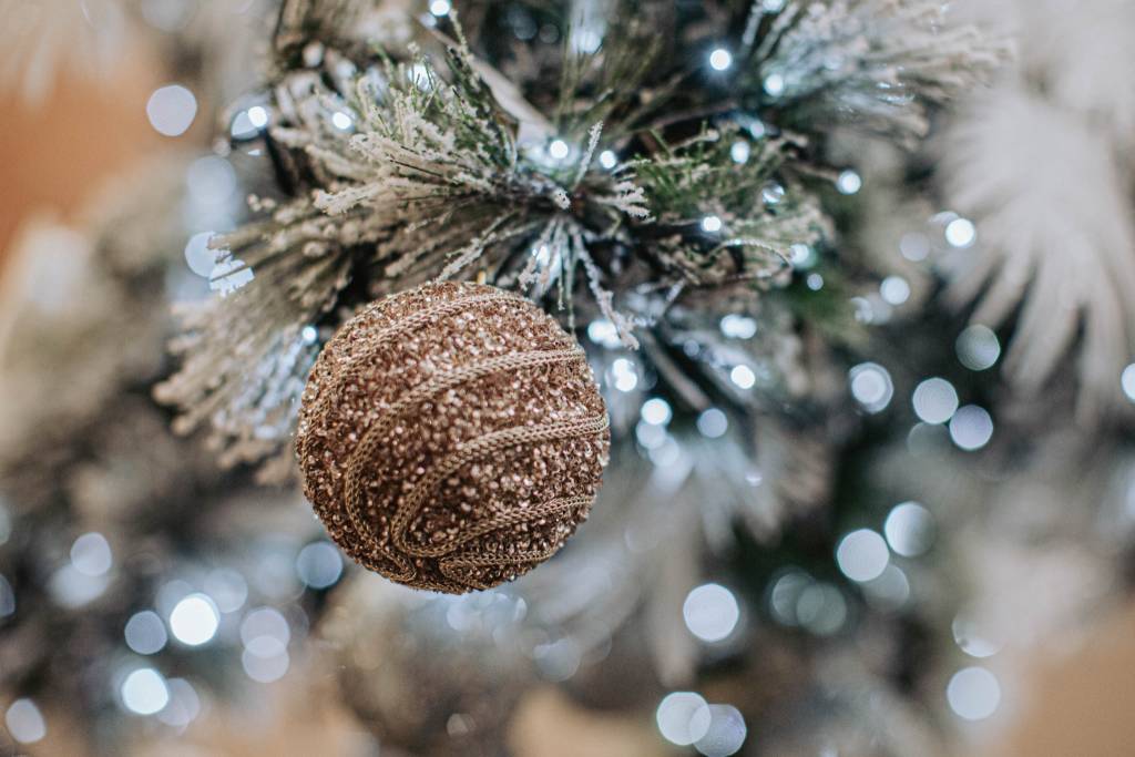 Nicora Garden: Il Paese di Natale a portata di un “click”