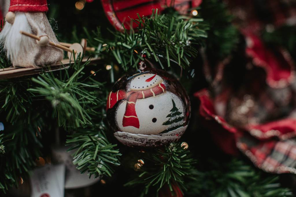 Nicora Garden: Il Paese di Natale a portata di un “click”