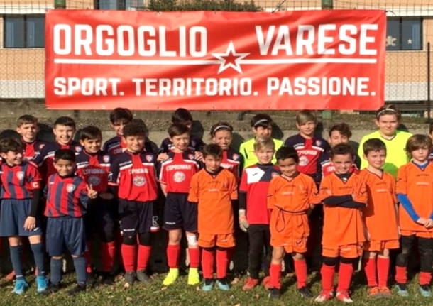 orgoglio varese 2020 sport