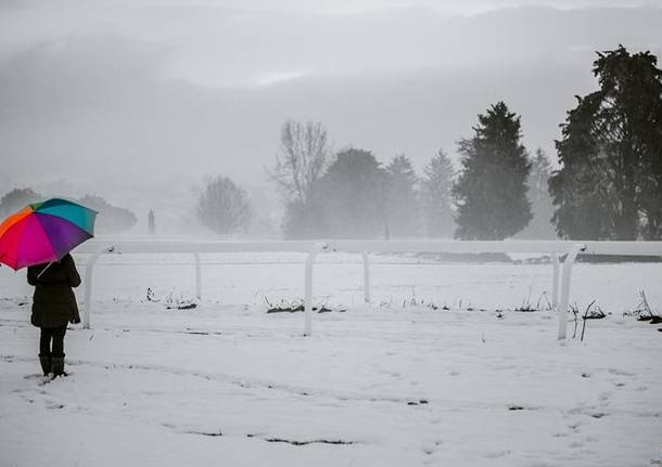 Paesaggi innevati