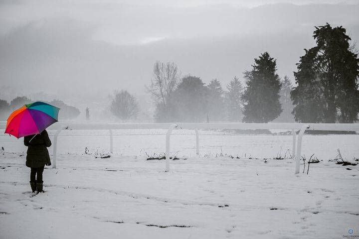 Paesaggio incantano - foto di Daniele Venegoni