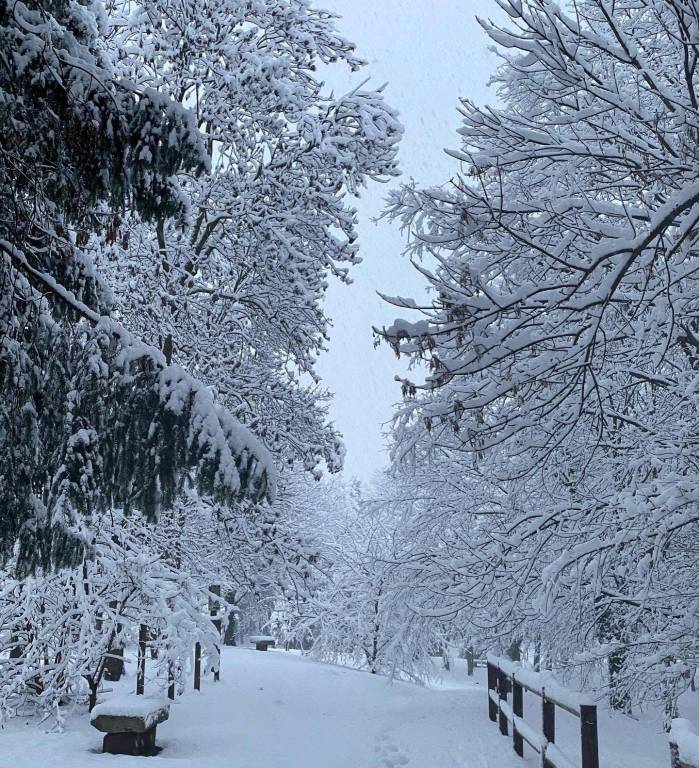 Parco Castello Legnano, neve 28 dicembre