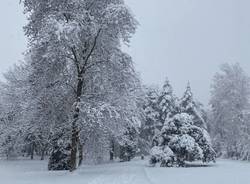 Parco Castello Legnano, neve 28 dicembre