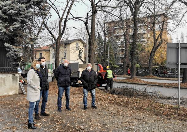 potature busto arsizio