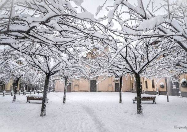 White Saronno