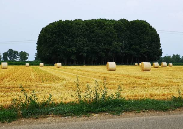 Verso la creazione di un Parco Agricolo Prealpino Sovracomunale da Lomazzo a Cislago. Sette sindaci a colloquio 