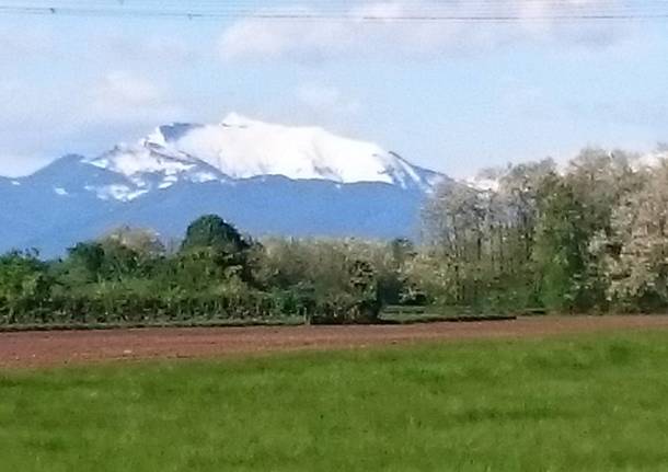 Verso la creazione di un Parco Agricolo Prealpino Sovracomunale da Lomazzo a Cislago. Sette sindaci a colloquio 