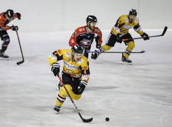 alex bertin hockey mastini varese