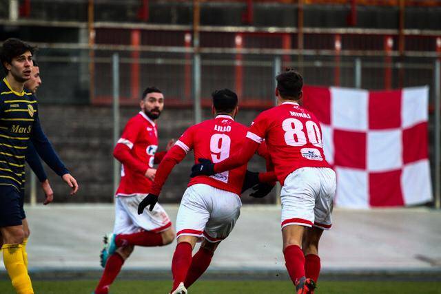 calcio varese arconatese