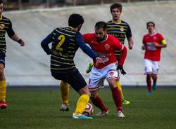 calcio varese arconatese