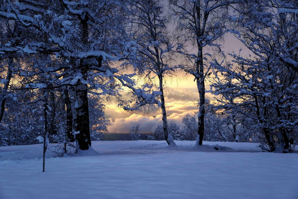 freddo polare .........