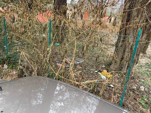 discarica ingresso Villa Mylius