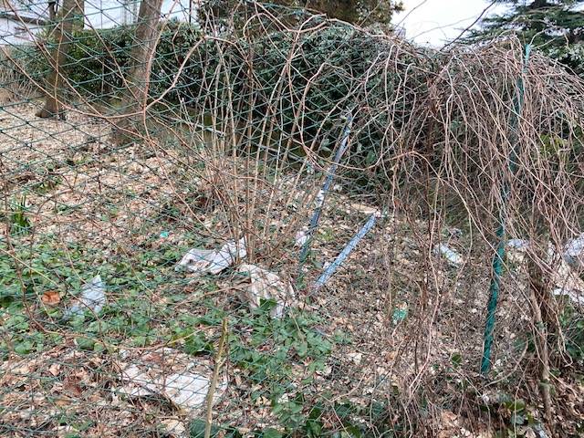 discarica ingresso Villa Mylius