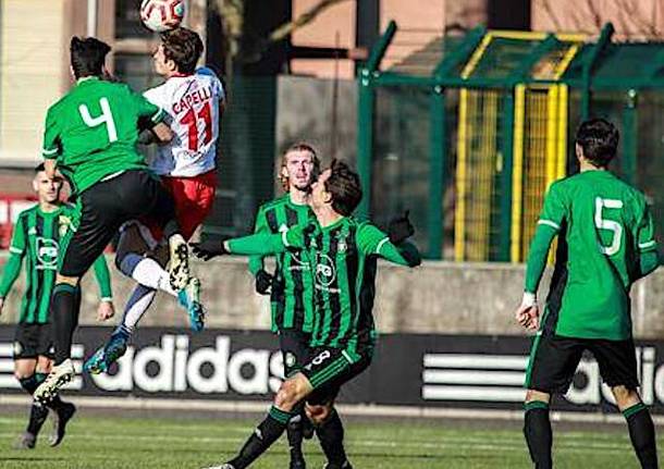 castellanzese calcio