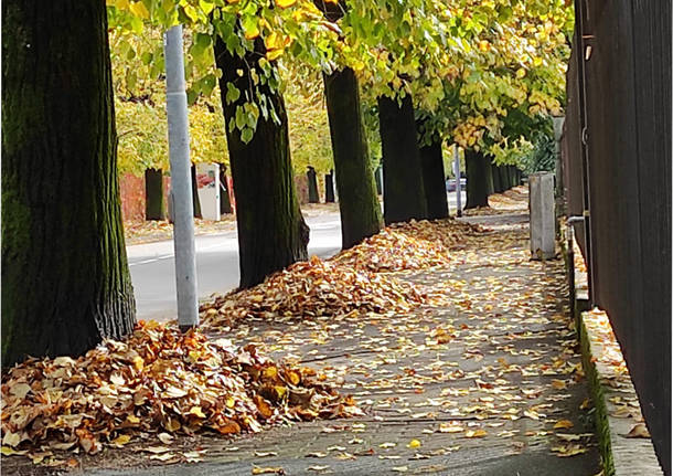 fogliamo sui marciapiedi a rescaldina