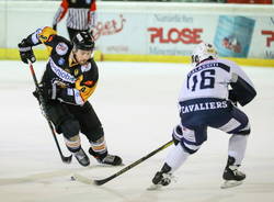 francis drolet mastini varese hockey su ghiaccio