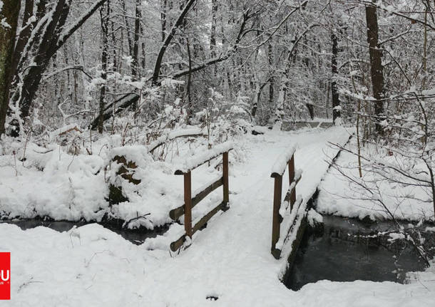 Lipu, inverno