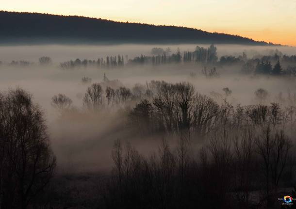 Nebbia a Mercallo 