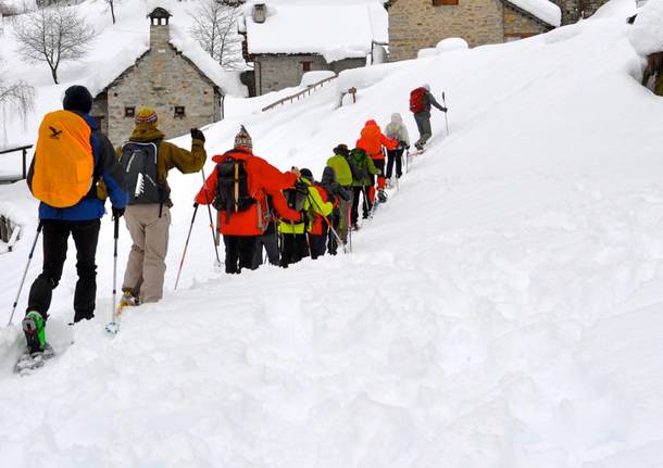 OssolAlpine Neve