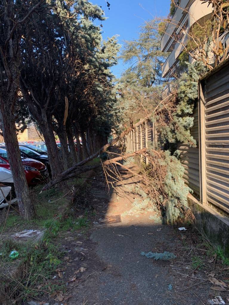 Parcheggio del Dopolavoro dell'ex Franco Tosi