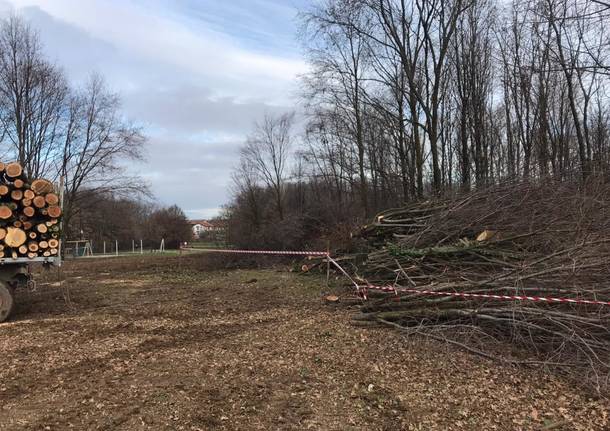 Proseguono i lavori di pulizia e manutenzione al Parco Vita di Solaro