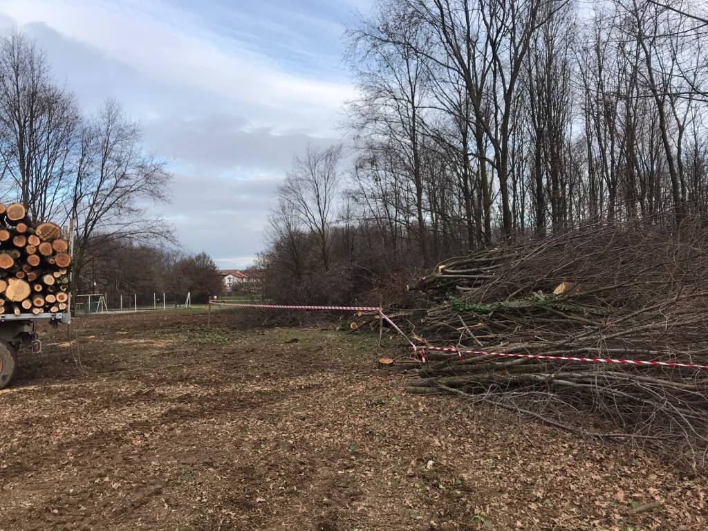 Proseguono i lavori di pulizia e manutenzione al Parco Vita di Solaro