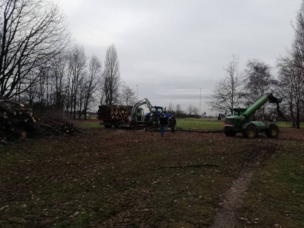 Proseguono i lavori di pulizia e manutenzione al Parco Vita di Solaro