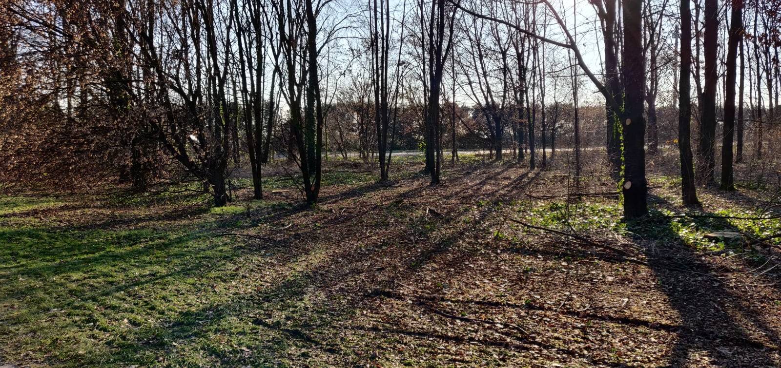 Proseguono i lavori di pulizia e manutenzione al Parco Vita di Solaro