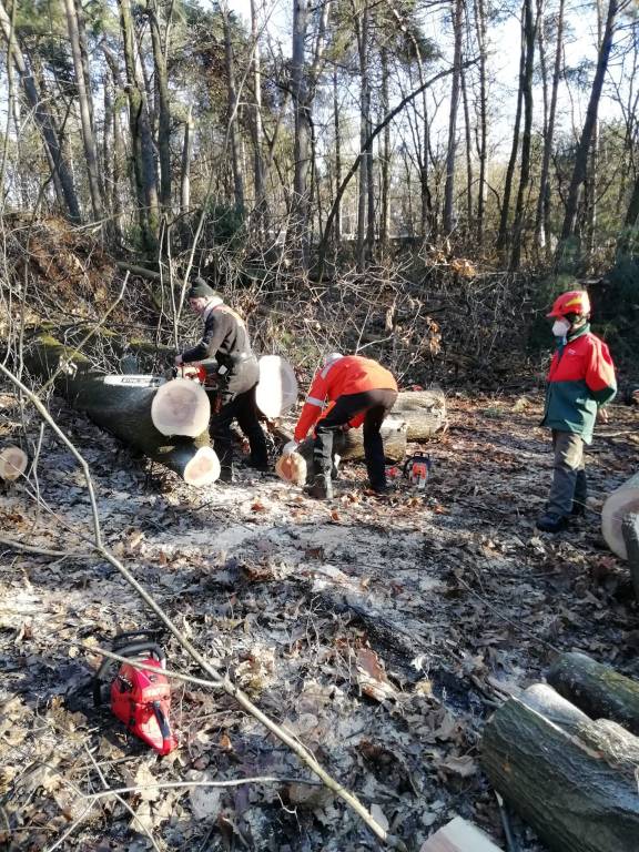 Pulizie in corso nel Parco Pineta