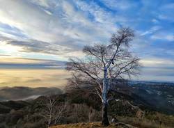 Una mattina di sole sul Varesotto