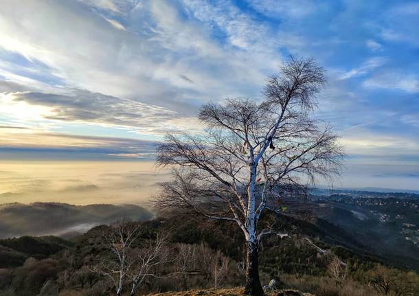 Una mattina di sole sul Varesotto