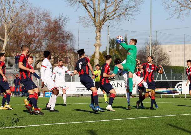 calcio caronnese città di varese