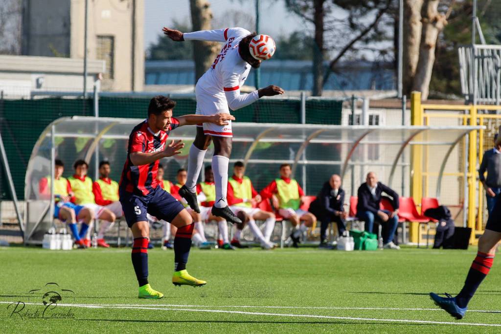 calcio caronnese città di varese