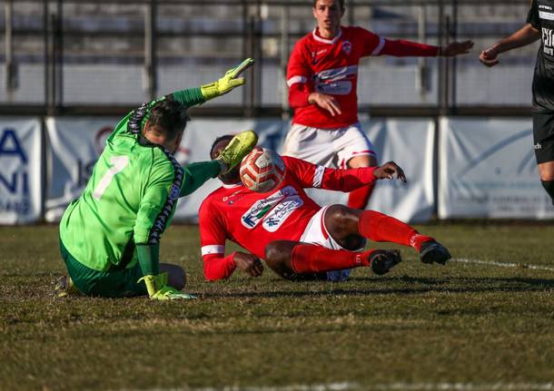 calcio legnano varese 