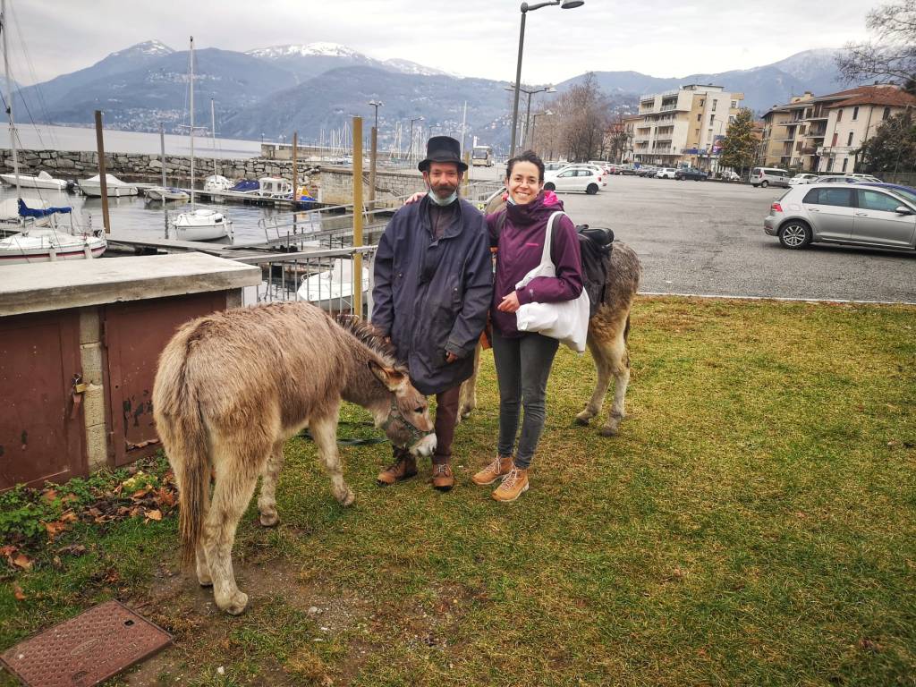 Camminatore asini Hans Tobler