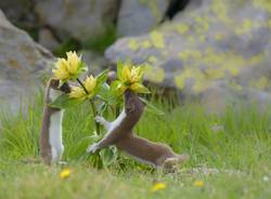 Fotografare il parco, i vincitori