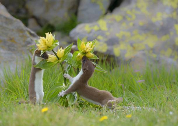 Fotografare il parco, i vincitori