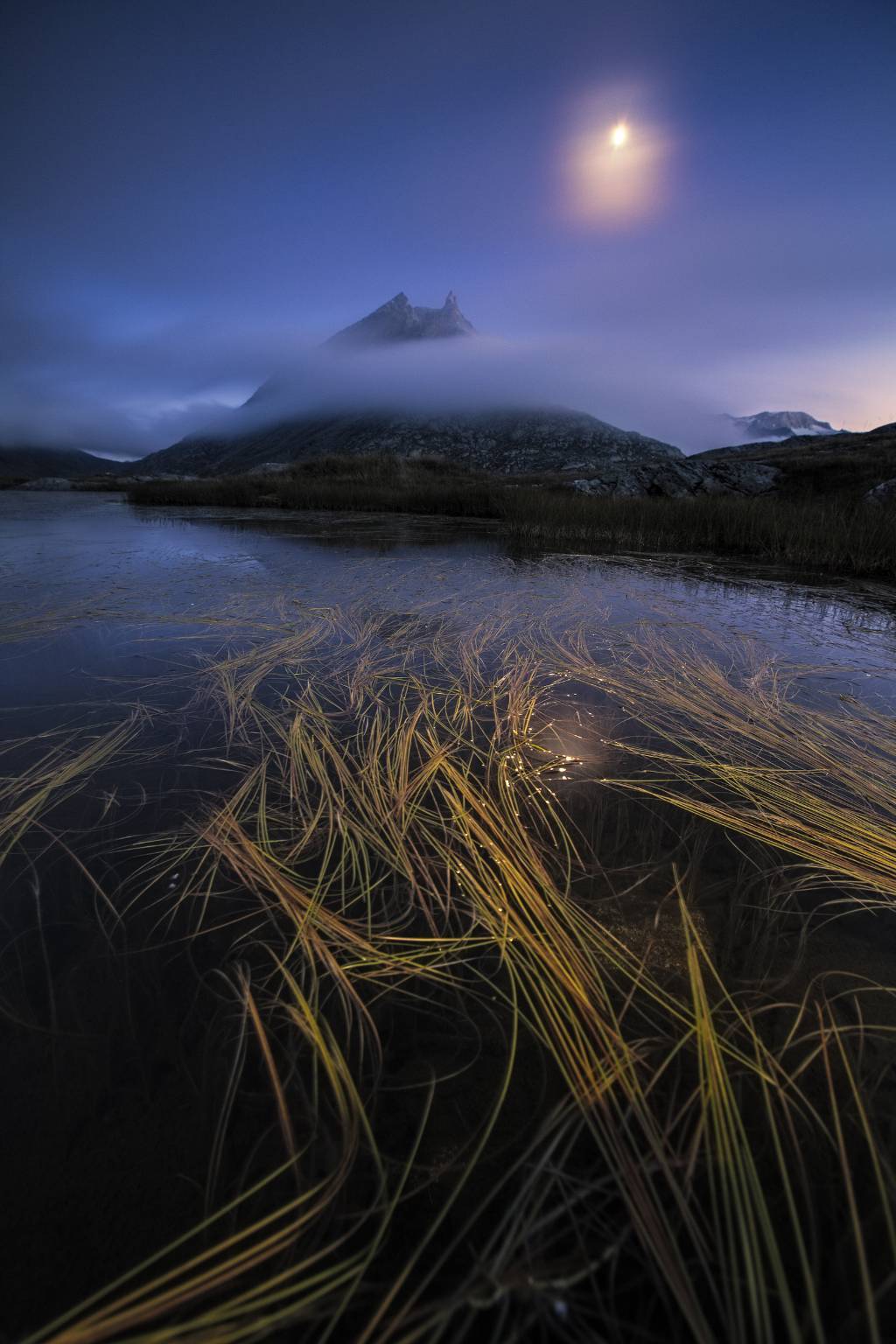 Fotografare il parco, i vincitori