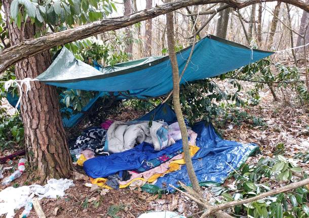 Guardie Ecologiche Volontarie e Parco ripuliscono il Piambosco