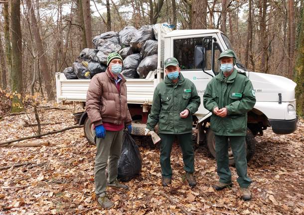 Gev e Parco ripuliscono il Pianbosco a Venegono