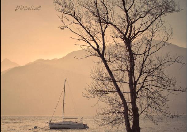 lago maggiore - Delia Ciocoiu