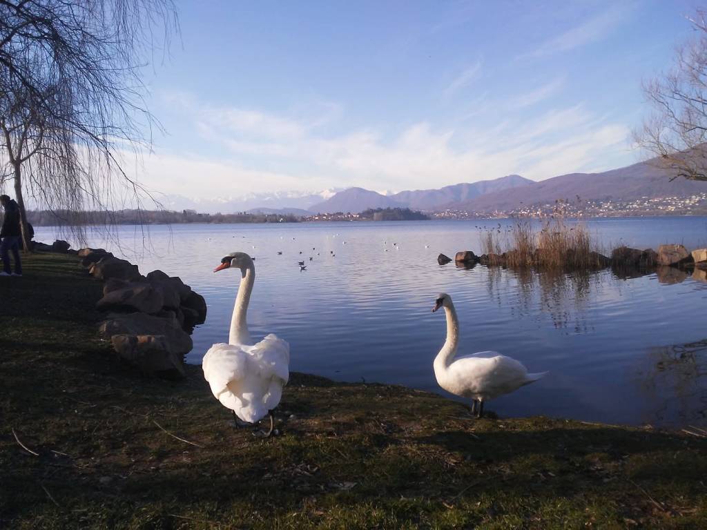 Pecore, tramonti e laghi. La natura nelle foto dei lettori