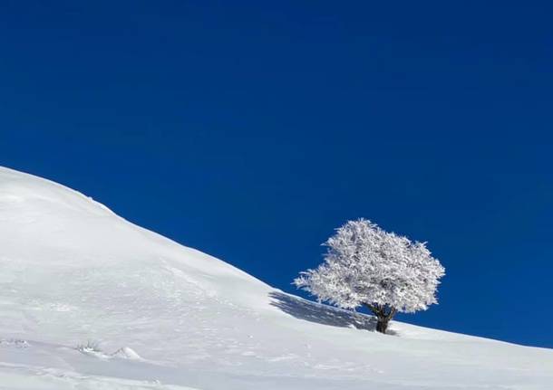 Battelli, cuori e tanta neve. Le foto dei lettori a San Valentino