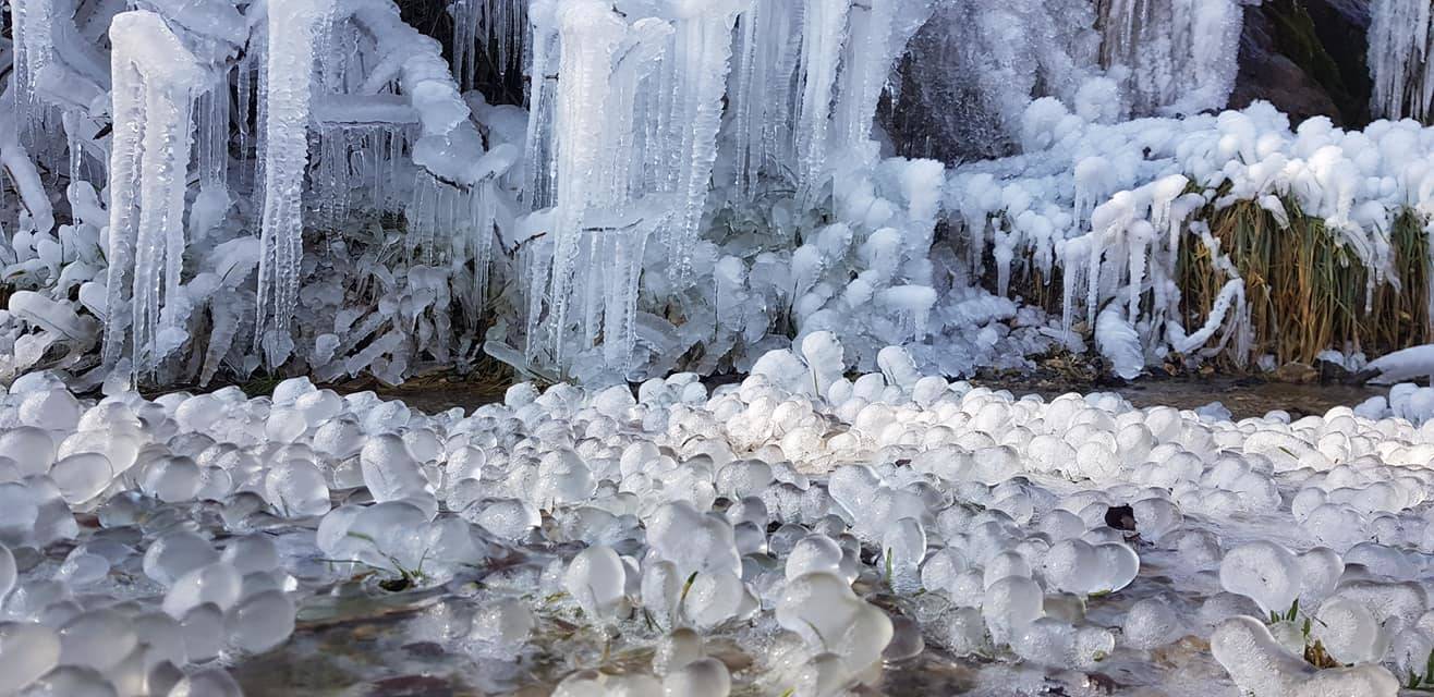 Pecore, tramonti e laghi. La natura nelle foto dei lettori