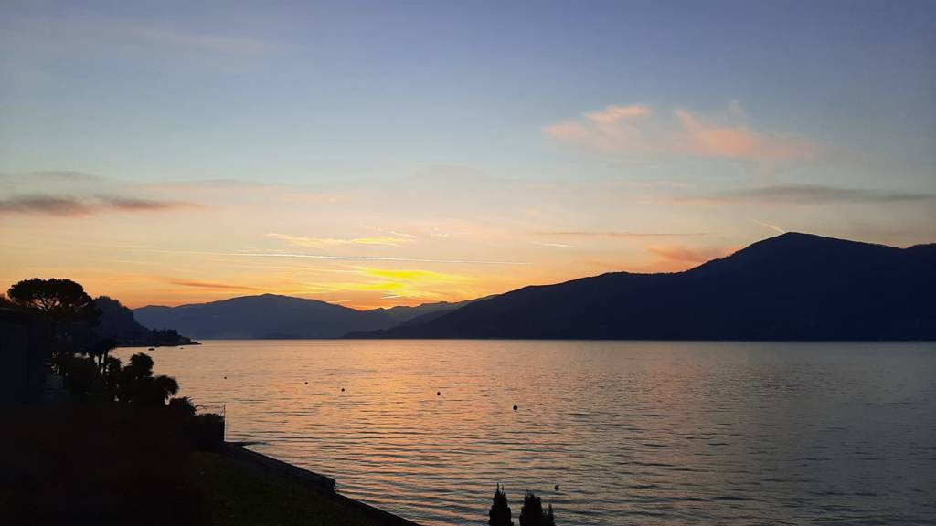 Pecore, tramonti e laghi. La natura nelle foto dei lettori